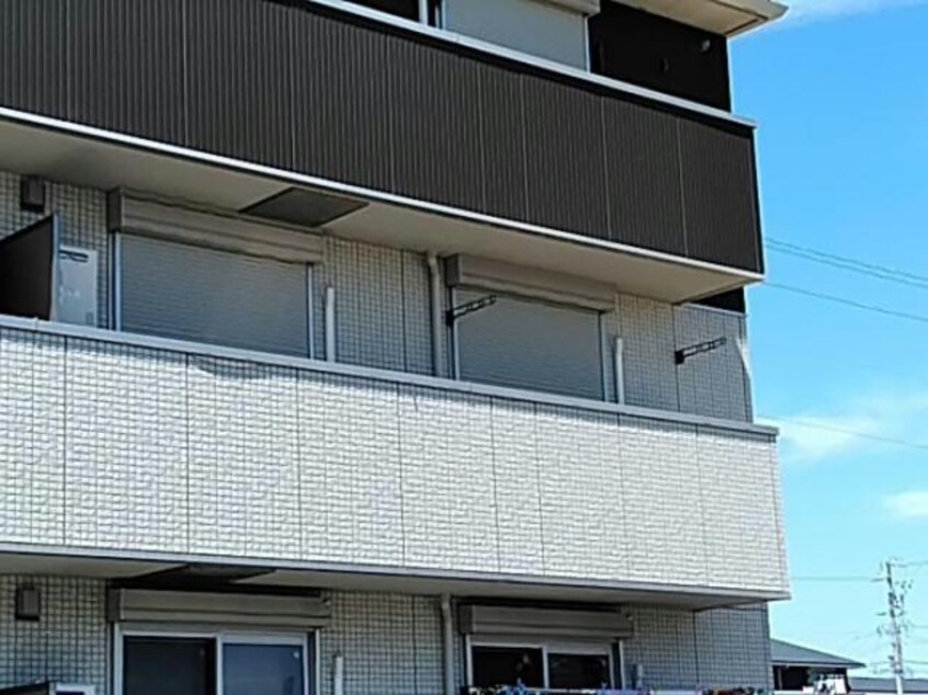 キセギ シロエⅡ キセギシロエⅡ