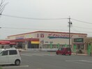ザ・チャレンジハウス磯山(スーパー)まで1991m ブリリアント寺家ⅡＢ