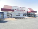 プロマーケット鈴鹿店(スーパー)まで594m グランドパレス