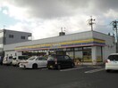 ミニストップ鈴鹿西条店(コンビニ)まで603m ミルキー　Ⅳ