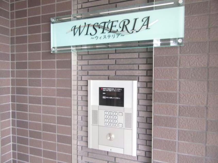  ウィステリア