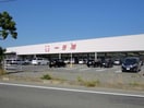 一号舘楠店(スーパー)まで1931m グランツ