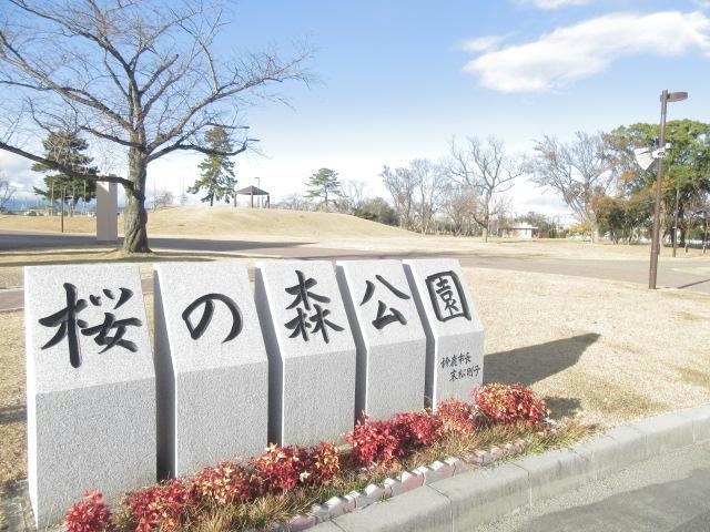 桜の森公園(公園)まで303m サンコート・FⅡ