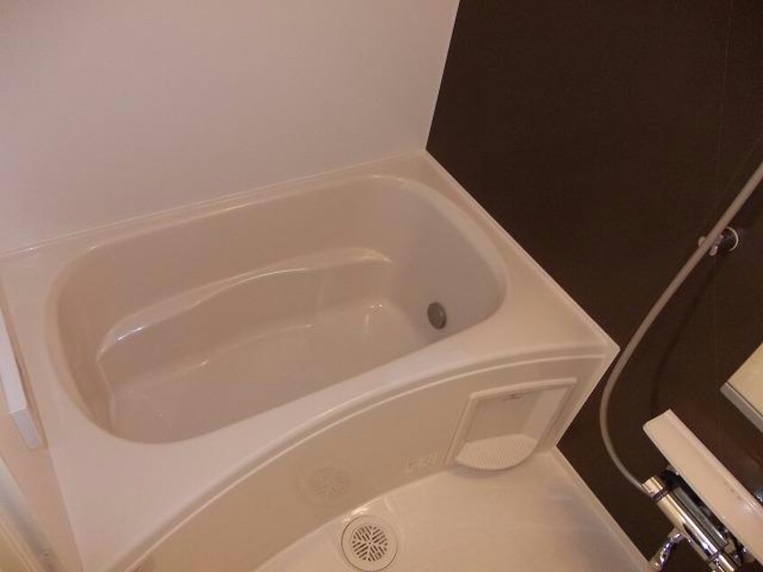 メイプルリーフⅡ メイプルリーフⅡ