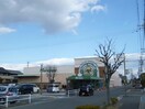 マルヤス鈴鹿西条店(スーパー)まで593m アルバグランデ西条A棟