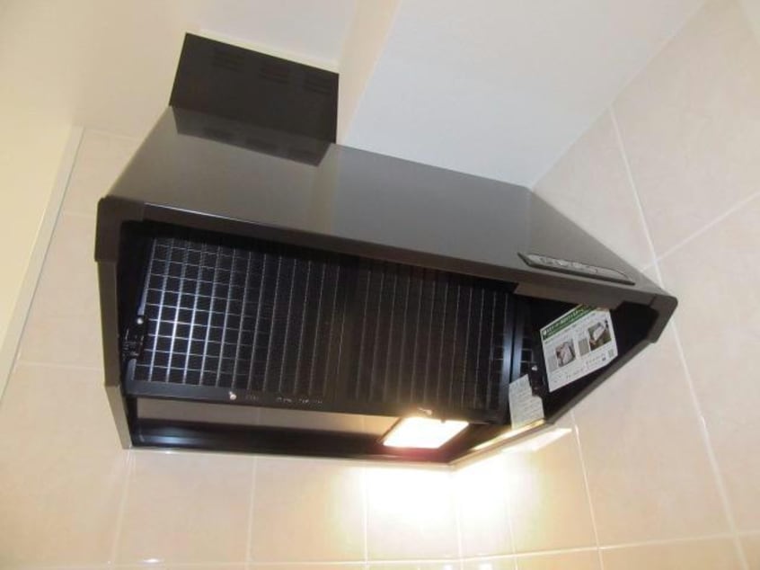 103号写真（反転） ビギニング