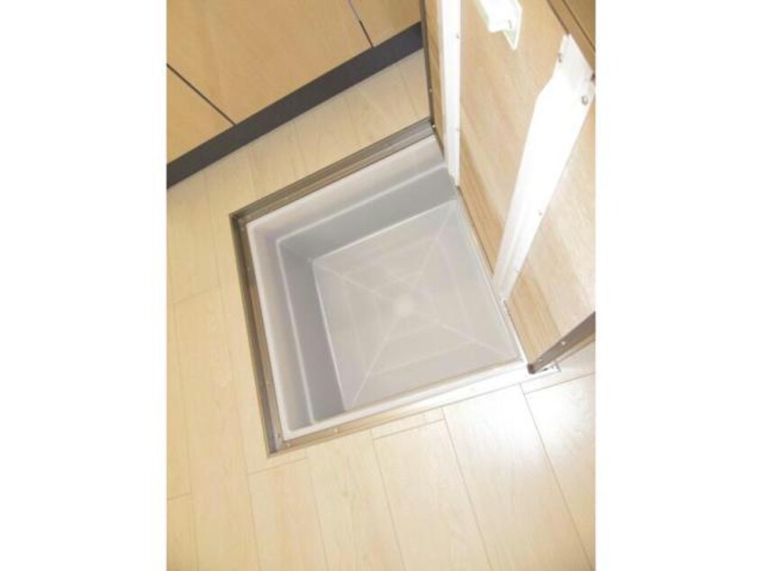 103号写真（反転） ビギニング