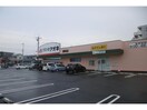 クスリのアオキ算所店(ドラッグストア)まで1310m アレグリア