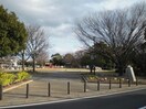 弁天山公園(公園)まで536m タートルエイト