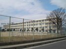 鈴鹿市立創徳中学校(中学校/中等教育学校)まで1252m グランメールⅢ