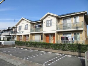 チェリーフィール