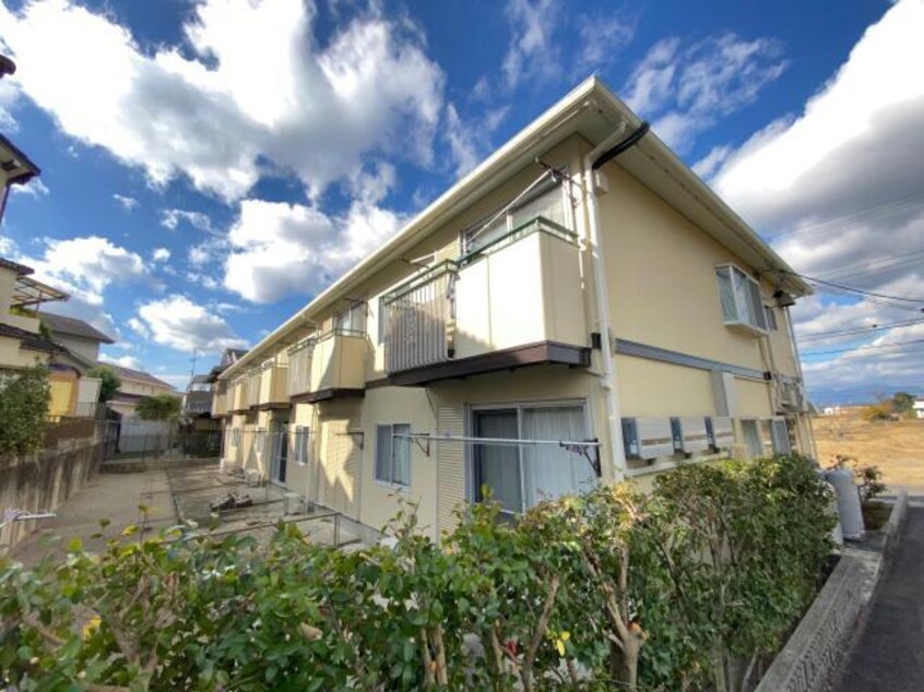  ＳＴクレドール２１