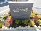  メルベーユ　(南江島町)