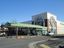 マルヤス鈴鹿西条店(スーパー)まで718m Millennium Star