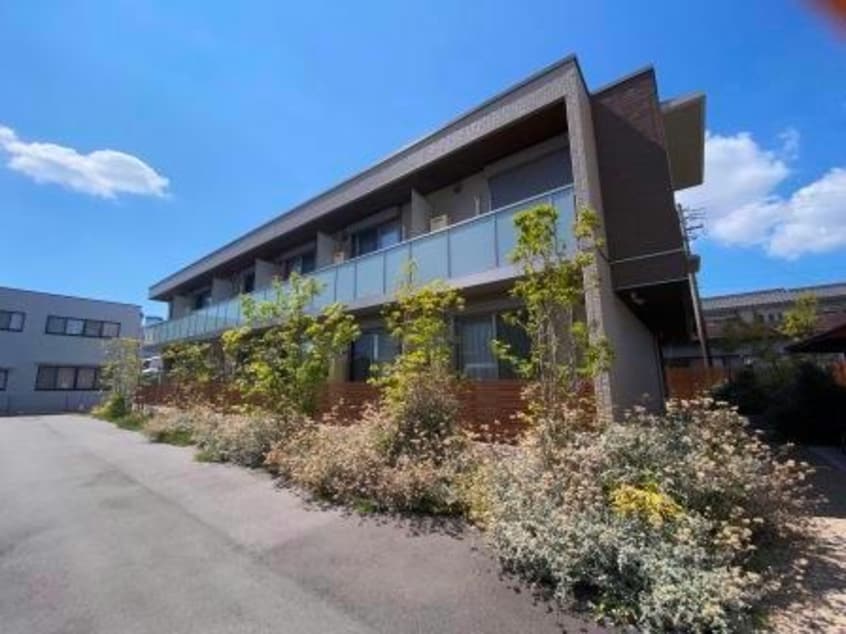  フロイデスプリング