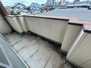  ダイアナポリス桜橋