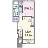 ベルシャインⅡ 1LDKの間取り