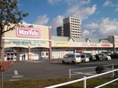 マックスバリュ鈴鹿中央店(スーパー)まで697m ベルシャインⅡ