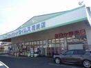 ドラッグセイムス花崎店(ドラッグストア)まで765m※ドラッグセイムス花崎店 エトワールNAKAYAMAⅧ