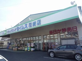 ドラッグセイムス花崎店