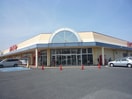 カスミ花崎店(スーパー)まで686m※カスミ花崎店 ドリーミーハイツ中里