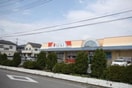 ドラッグストアセキ花崎店(ドラッグストア)まで707m※ドラッグストアセキ花崎店 ドリーミーハイツ中里
