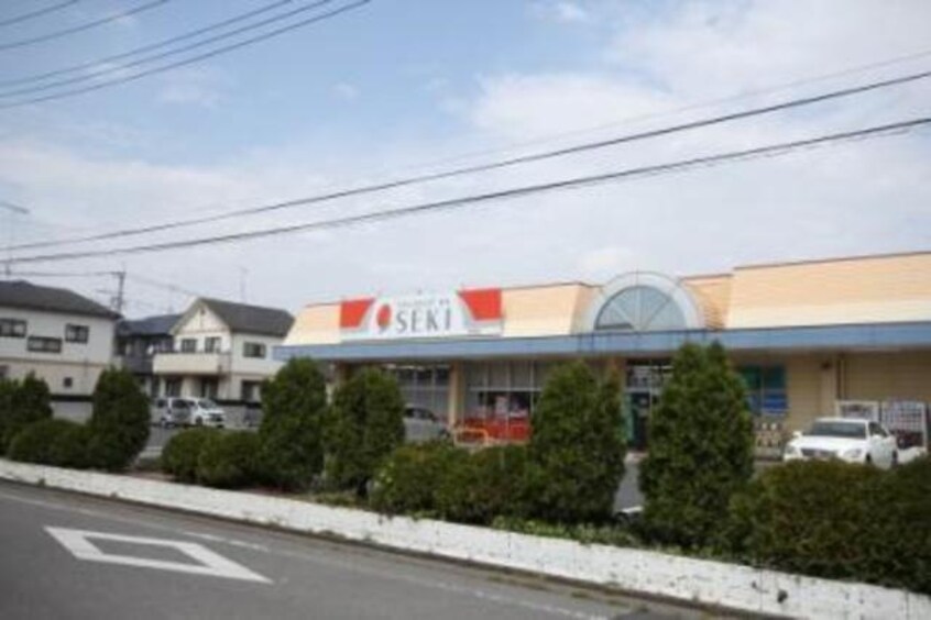 ドラッグストアセキ花崎店(ドラッグストア)まで707m※ドラッグストアセキ花崎店 ドリーミーハイツ中里