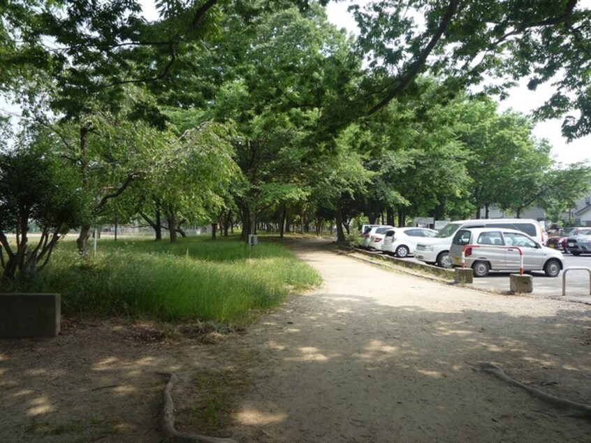 青葉公園(公園)まで1064m※青葉公園 ジェネシス