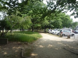 青葉公園