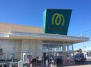 マミーマート白岡店(スーパー)まで174m※マミーマート白岡店 弓木コーポIII