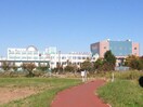 私立花咲徳栄高校(高等学校/高等専門学校)まで376m※私立花咲徳栄高校 オアシス中山Ⅱ