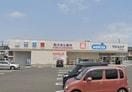 ウェルシア加須花崎店(ドラッグストア)まで354m※ウェルシア加須花崎店 中山貸家