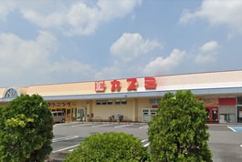 カスミ花崎店