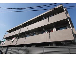 コンフォート・エムズ