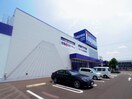 ノジマ焼津店(電気量販店/ホームセンター)まで1191m 東海道本線/焼津駅 徒歩25分 2階 築25年