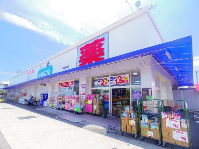 ウエルシア藤枝藪田店(ドラッグストア)まで271m 東海道本線/西焼津駅 バス19分押切橋下車:停歩3分 2階 築32年