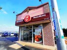 ほっともっと焼津下小田店(弁当屋)まで1113m 東海道本線/焼津駅 バス16分石津下島下車:停歩2分 2階 築27年