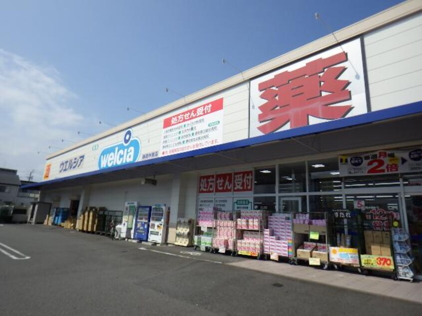 ウエルシア静岡中原店(ドラッグストア)まで309m 東海道本線/静岡駅 バス13分見瀬Ｄａｉｉｃｈｉ－ＴＶ入口下車:停歩5分 2階 築29年