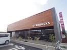 スターバックスコーヒー静岡中原店(カフェ)まで227m 東海道本線/静岡駅 バス13分見瀬Ｄａｉｉｃｈｉ－ＴＶ入口下車:停歩5分 2階 築29年