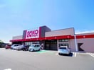 ＫＯマート大井川店(スーパー)まで981m 東海道本線/藤枝駅 バス30分吉永八幡宮下車:停歩7分 1階 築24年