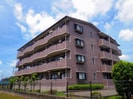 東海道本線/焼津駅 徒歩25分 4階 築25年の外観