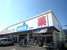 ウエルシア焼津八楠店(ドラッグストア)まで593m 東海道本線/焼津駅 徒歩20分 1階 築20年