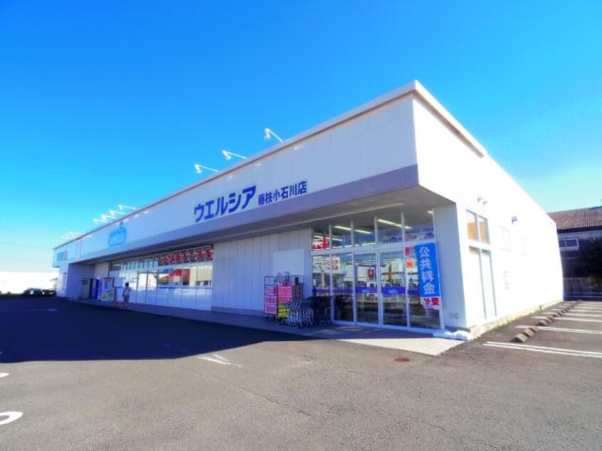 ウエルシア藤枝小石川店(ドラッグストア)まで458m 東海道本線/藤枝駅 徒歩10分 3階 築18年