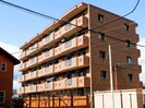 東海道本線/静岡駅 バス:21分:停歩6分 2階 築17年の外観