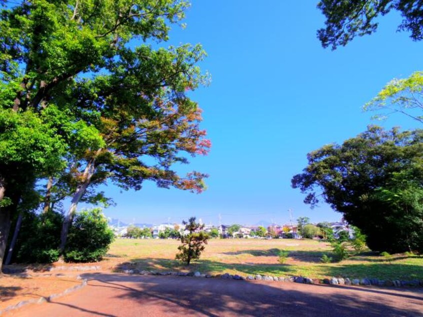 登呂公園(公園)まで138m 東海道本線/静岡駅 バス14分登呂南下車:停歩5分 2階 築41年