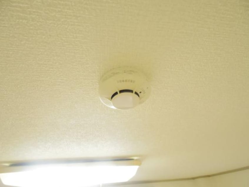  東海道本線/東静岡駅 徒歩28分 1階 築38年