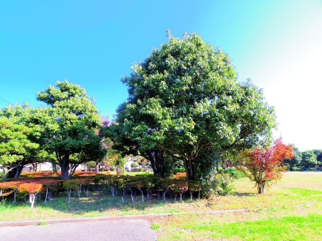 高松公園(公園)まで382m 東海道本線/静岡駅 バス23分宮竹一丁目下車:停歩1分 1階 築43年