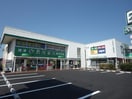 （有）焼津谷島屋登呂田店(本屋)まで751m 東海道本線/焼津駅 バス12分三ケ名東下車:停歩6分 2階 築14年