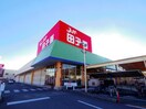 スーパー田子重西焼津店(スーパー)まで498m 東海道本線/西焼津駅 徒歩12分 2階 築30年