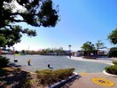 小鹿公園(公園)まで722m 東海道本線/静岡駅 バス24分片山下車:停歩5分 1階 築13年